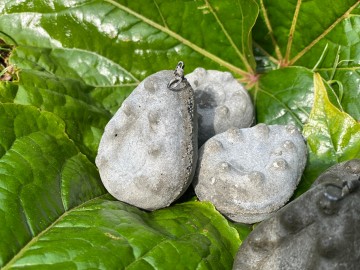 karperlood aanbieding