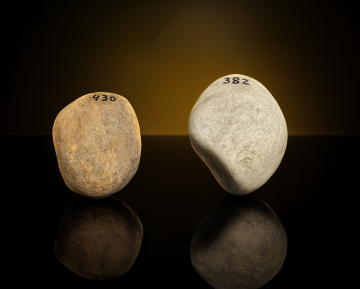 Karper stenen gewichten 350 550g 0