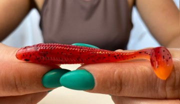 Projekt bez nazwy123113