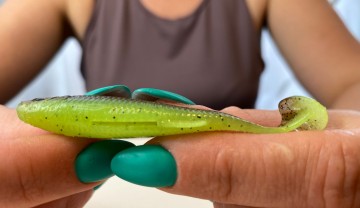 Projekt bez nazwy123121