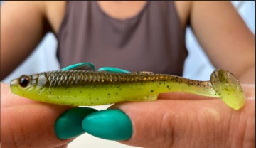 Projekt bez nazwy12341