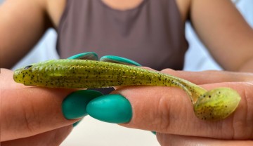 Projekt bez nazwy2312