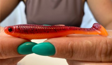 Projekt bez nazwy23121